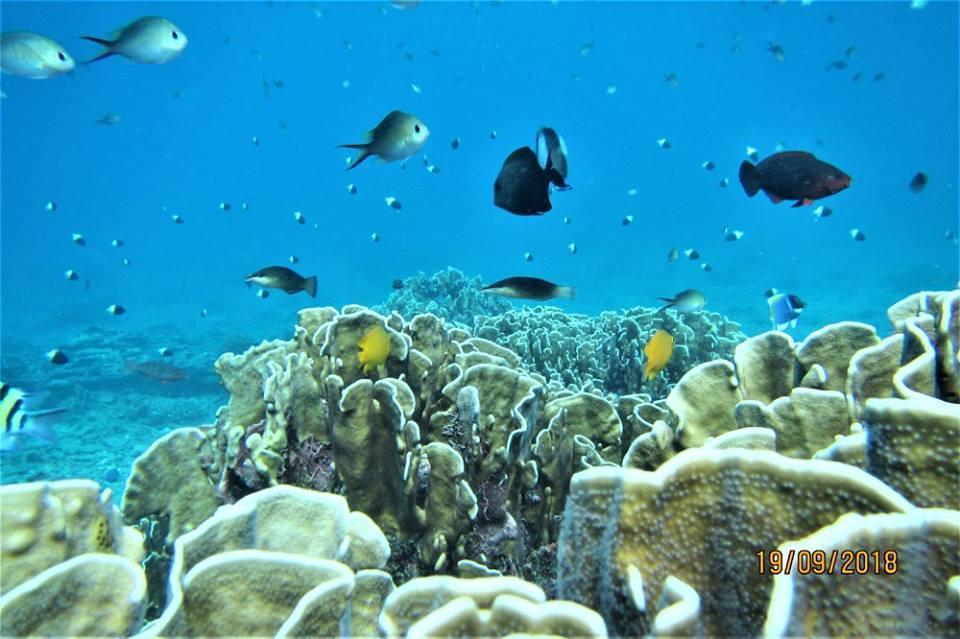 Pulau Weh Paradise Сабанг Экстерьер фото
